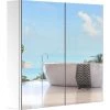 HOMCOM Armoire Miroir Rangement Toilette Salle De Bain Meuble Mural Dim. 60L X 12l X 55H Cm Acier Inox. 1 HOMCOM Armoire Miroir Rangement Toilette Salle De Bain Meuble Mural Dim. 60L X 12l X 55H Cm Acier Inox. -France HOMCOM Soldes 2022 25006917 1